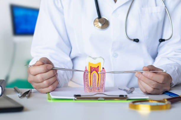Best Broken Tooth Emergency  in Lake Sarasota, FL